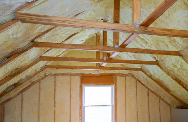 Best Residential Insulation in Cadiz, KY