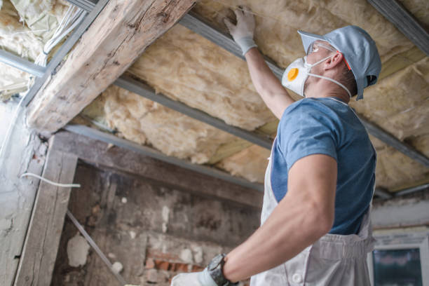 Best Insulation for Specific Applications in Cadiz, KY